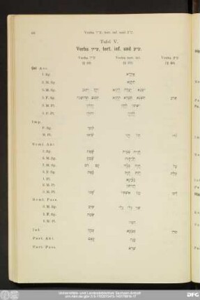 Tafel V. Verba ע“'ך, tert. inf. und ע“ע.
