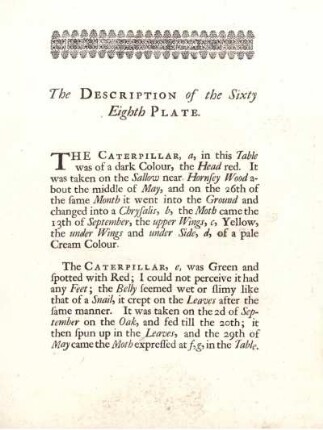 The Description of the Sixty Eighth Plate