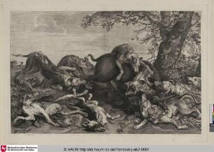 [Die große Eberjagd; A Wild Boar Hunt]