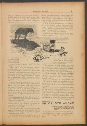 Un calote audaz