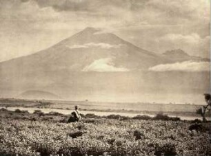 Der Vulkan Cotopaxi von Westen