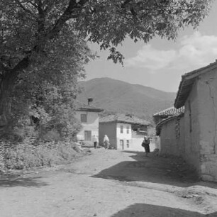 Das Dorf Skobelevo im Rosental