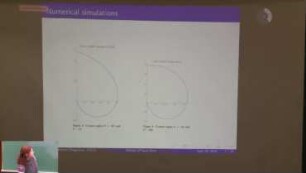 Motion of Liquid Films in the Gas Channels