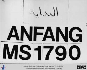 MF Mau 1790