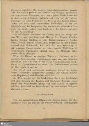 Die Pflanzenwelt