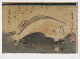 Flunder, Meerbrasse, aus: "Große Serie mit Fischen"