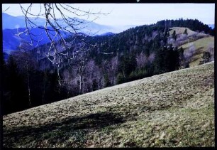 Breitnau: Hang und Talblick nach Freiburg