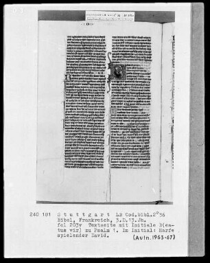 Bibel — Initiale B (eatus vir), darin harfespielender David, Folio 203verso