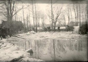 Hochwasser in Burg : Landschaft - Spreewald. Ort: Bórkowy / Burg-Spreewald. Hochwasser