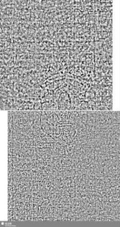 Lilienschild + IESV / LW = S.15/15a+18/19