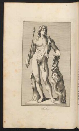 Bachus