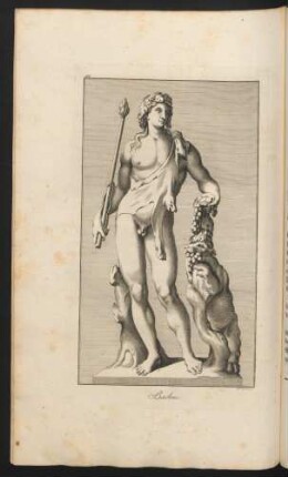 Bachus