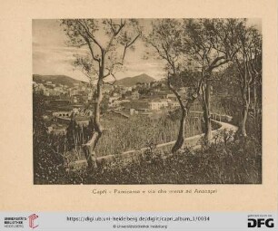 Capri - Panorama e via che mena ad Anacapri