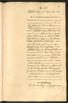 Standesamtsbuch der Stadt Aschaffenburg: Geburten 365/1900 - 184/1901
