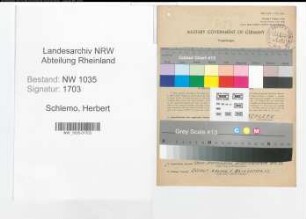 Entnazifizierung Herbert Schlemo , geb. 11.06.1904 (Bergingenieur)