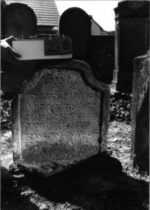 Grabstein 28 (Index: 99797941) Material: Sandstein, weiß Zustand: stark verwittert Maße HxBxT: 67x63x7 cm Beschreibung: Stele, geschweifter Abschluß Symbolik: Ranken: Grabstein 28