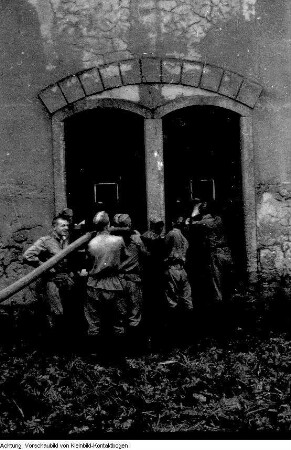 Dresden. Feuerwehr, gemeinsame Brandbekämpfung im Lockwitztal, 1. Juli 1964