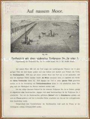 Torfbetrieb mit einer stehenden Torfpresse