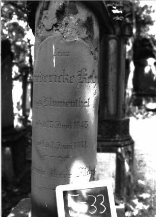 Grabstein A II/5/33 (Detailaufnahme 2)