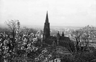 Freiburg i. Br.: Blick vom Schloßberg aufs Münster, Vordergrund: Weinberge