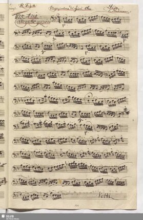 1175. Aria: Vaga palma di fiori / Naumann, J.G.