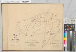 Südkirchen (Nordkirchen), Teilung der Gemeinheit Bliesingfeld, Brouillonkarte