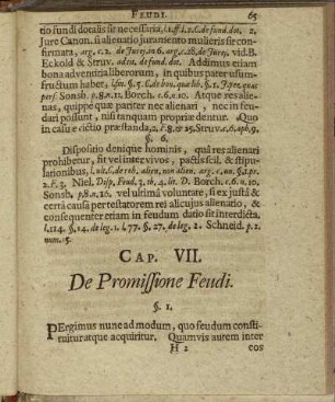 Cap. VII. De Promissione Feudi.