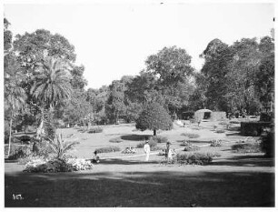 Peradenyia/ Sri Lanka: Botanischer Garten
