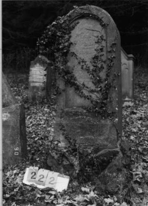Grabstein 222