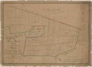 Rein-Karte von der Stadtfeldmark Wilsnack. Sekt. II (später: Gemarkungskarte der Stadt Wilsnack Nr. 227 in 6 Blättern. Bl. 5) - Enthaltend die Kriegländer, Olvegründen, Hohlberge und einen Teil der Stadtforst.