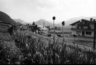 Riezlern: Blick auf den Ort, Vordergrund Tulpen