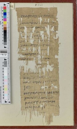 Fragment eines Zenon-Papyrus
