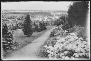 Kamenz. Blick vom Hutberg auf Kamenz, Azaleen-Anlagen