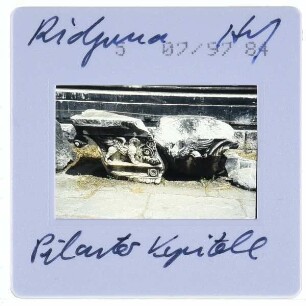 Didim, Didyma : Hof, Pilasterkapitell
