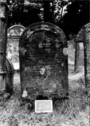 Grabstein 228 [Nir S. 140 Nr. 14.08]