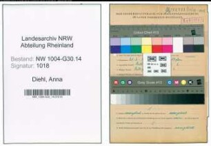 Entnazifizierung Anna Diehl , geb. 27.03.1898 ()