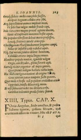 XIIII. Typus. Cap. X.