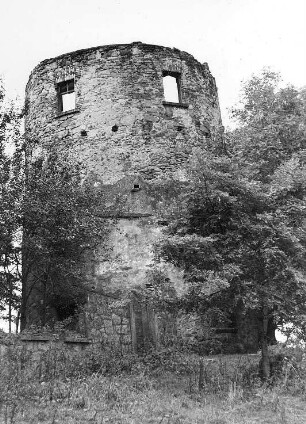 Vysoký (Hohenwald). Holländermühle, Ruine