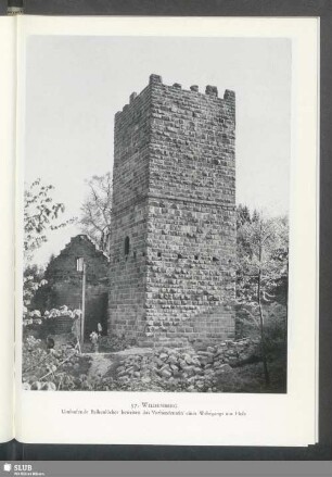 Wildenberg