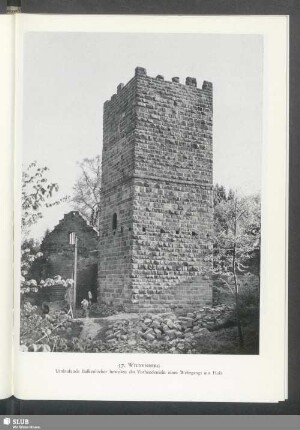 Wildenberg