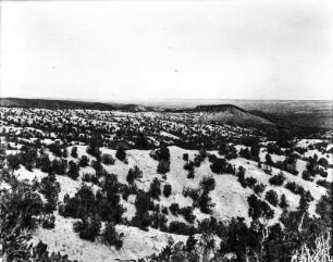 Landschaft bei Santa Fé : Hochland bei Santa Fé.