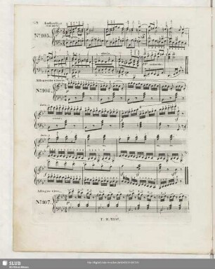 No. 106 Allegretto vivace