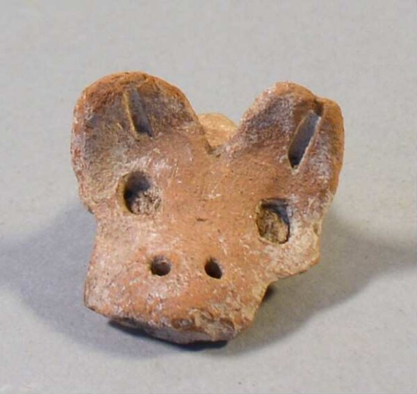 Animal head made of clay