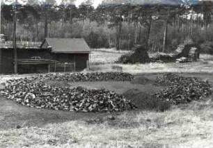 Holzkohlenherstellung in Rietschen, Holzkohle : Handwerkstechniken - Kohlen- und Pechbrennerei. Ort: Rěčicy / Rietschen. Holzkohle.