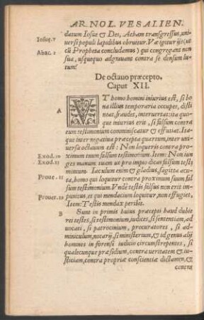 De octavo praecepto. Caput XII.