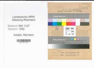 Entnazifizierung Hermann Adolph , geb. 05.07.1893 (Regierungsinspektor)