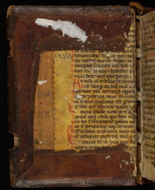 Fragment: Psalterium (13. Jh., 2. Hälfte, siehe auch hinterer Spiegel)