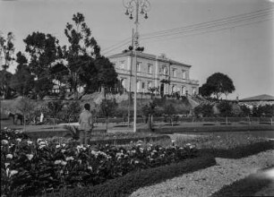 Garten : Garten in Asmara