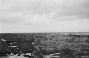 Norwegische Küste : An der Küste Norwegens.