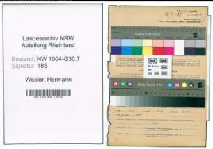Entnazifizierung Hermann Wexler , geb. 27.01.1903 (Vermess.Techniker)